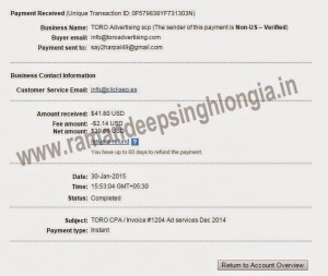 Toro Advertising Network Payment Proof paypal (2)
